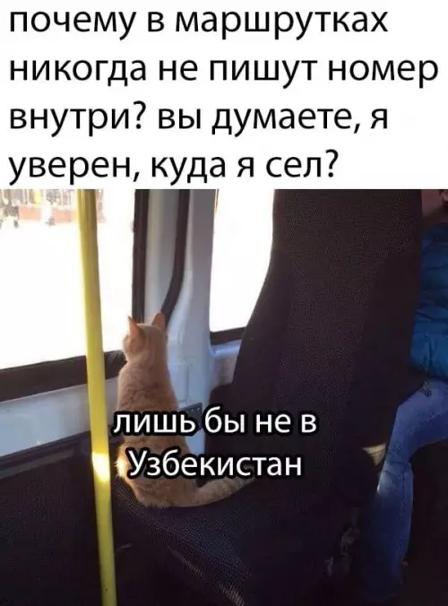 Смешная картинка №654061
