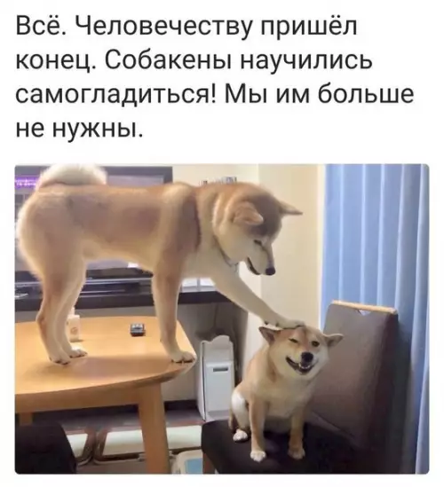 Смешная картинка №227942
