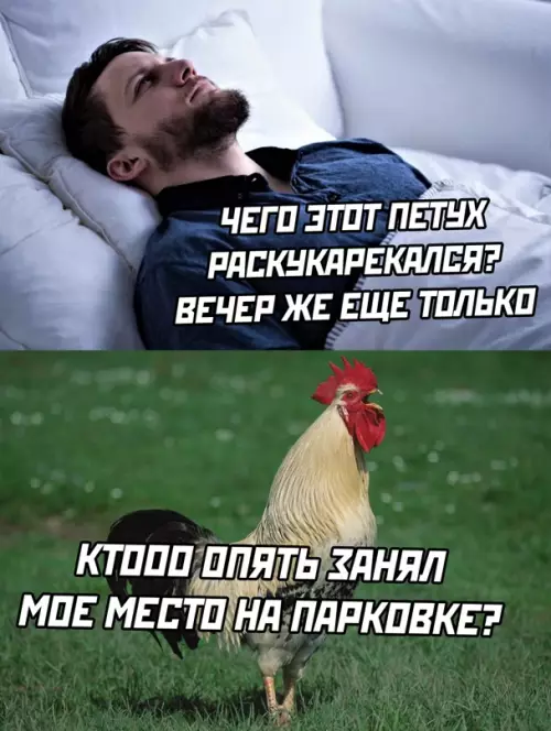 Смешная картинка №651394