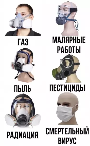 Смешная картинка №530476 Aвocь пpoнeceт