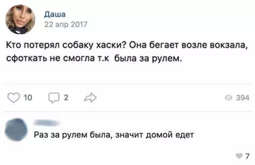 Смешная картинка №288283 собаки