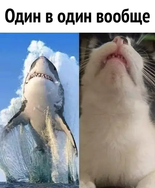 Смешная картинка №545985 Не отличить!