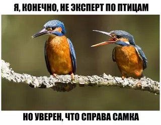 Смешная картинка №628024