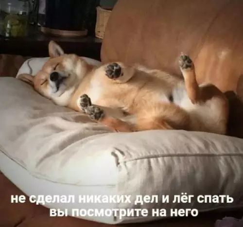 Смешная картинка №680674