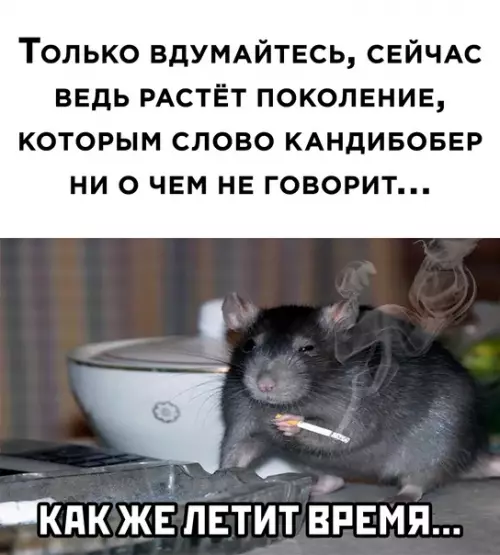 Смешная картинка №569952