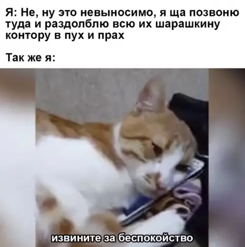 Смешная картинка №366773