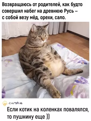 Смешная картинка №692344