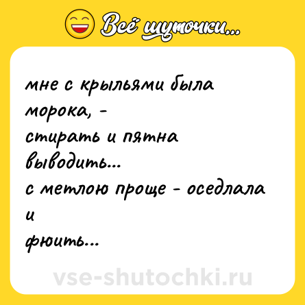 Шутка: мне с крыльями была морока, -<br>стирать и пятна выводить...<br>с метлою проще - оседлала и <br>фюить...
