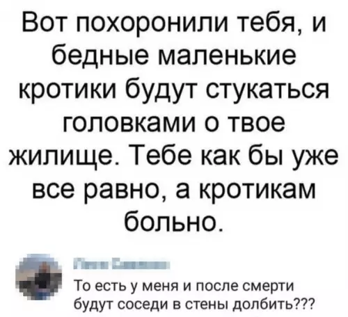 Смешная картинка №377623