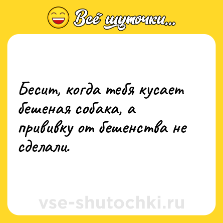 Шутка: Бесит, когда тебя кусает бешеная собака, а прививку от бешенства не сделали.