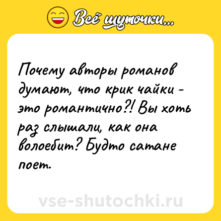 Шутка: Почему авторы романов думают, что крик чайки - это романтично?! Вы хоть раз слышали, как она волоебит? Будто сатане поет.