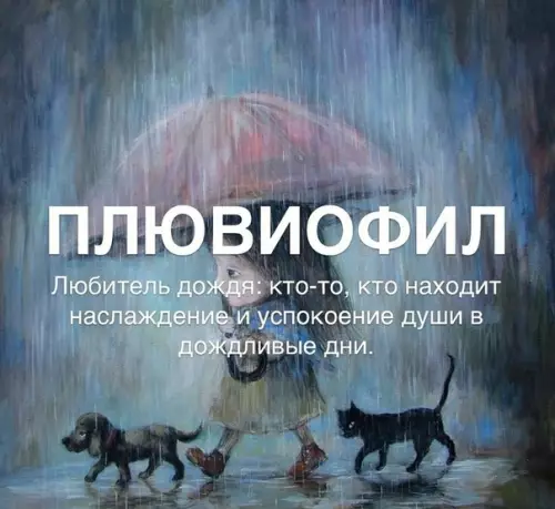 Смешная картинка №290980 Так вот кто я