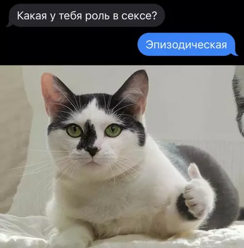 Смешная картинка №628046