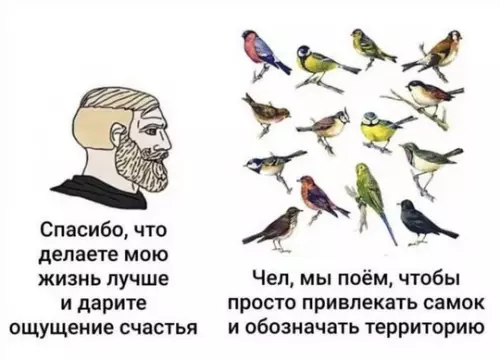 Смешная картинка №753688