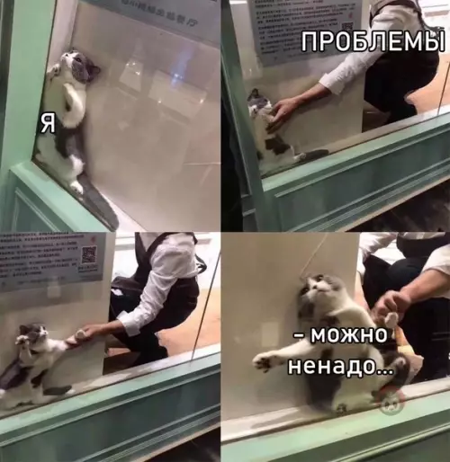 Смешная картинка №543906 Ох какая жизааааа