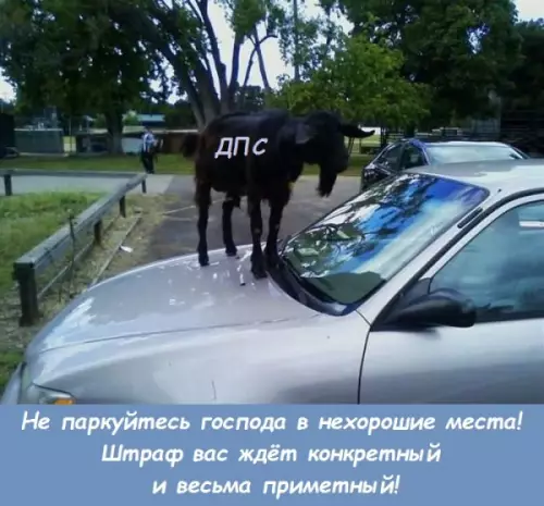 Смешная картинка №303425