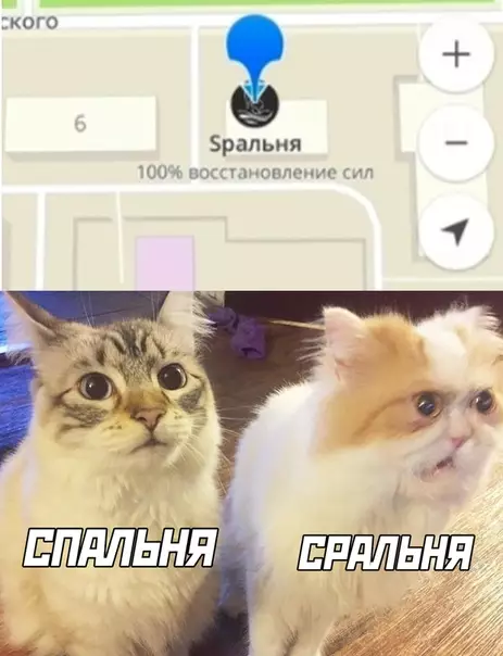 Смешная картинка №506775