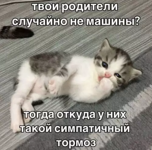 Смешная картинка №749561