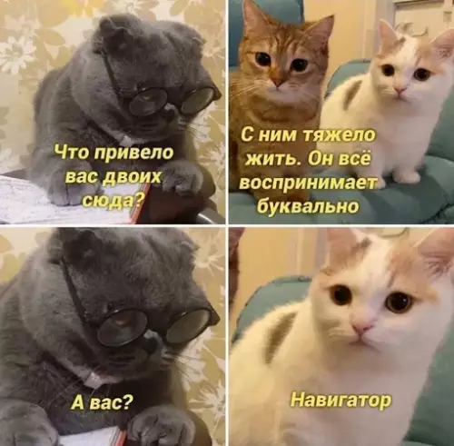 Смешная картинка №712641