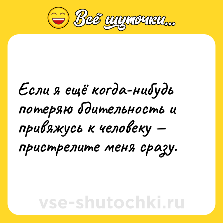 Шутка: Если я ещё когда-нибудь потеряю бдительность и привяжусь к человеку — пристрелите меня сразу.