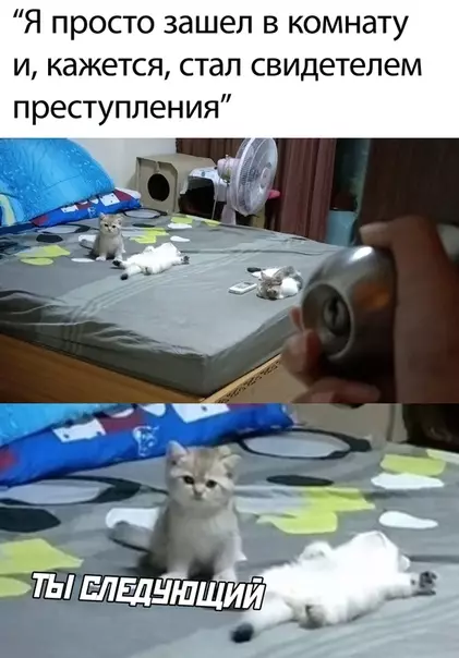 Смешная картинка №509966
