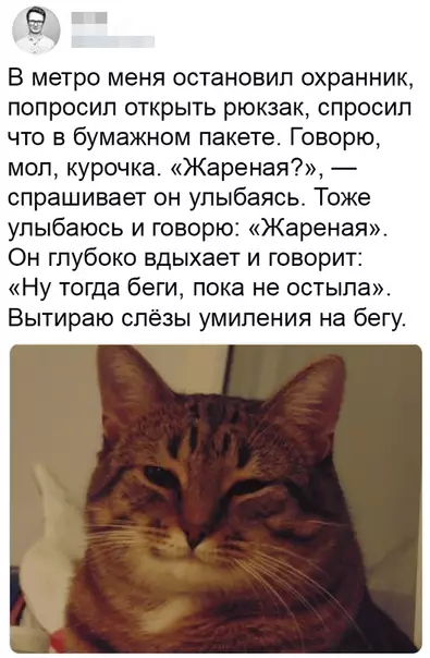 Смешная картинка №479176 Вот он - самый короткий рассказ который расторгает любого...