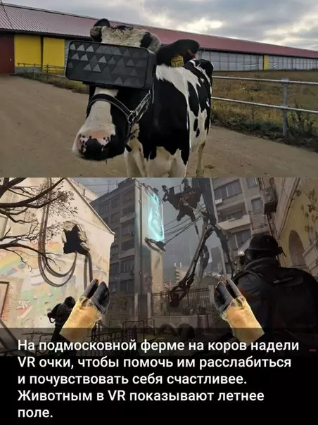 Смешная картинка №412497 А мне такие можно?