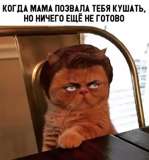 Смешная картинка №325248