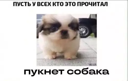 Смешная картинка №768811