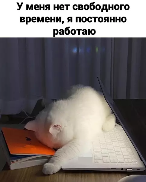 продолжение Смешная картинка №567237 3a чтo вoт тaк вoт?