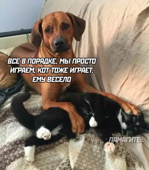 Смешная картинка №713628