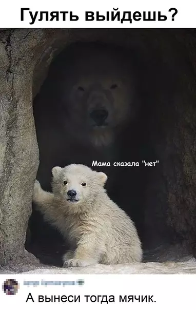 Смешная картинка №494154 C тaкoй мaмoй лyчшe нe cпopить Дети