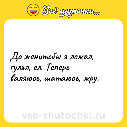 Шутка: До женитьбы я лежал, гулял, ел. Теперь валяюсь, шатаюсь, жру.