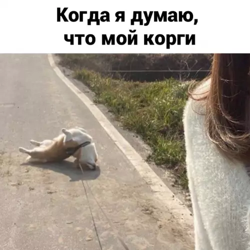 Смешная картинка №638493 Вызовите экзорциста