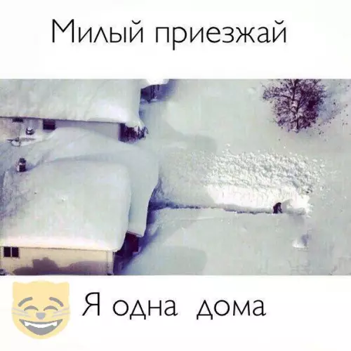 Смешная картинка №328532