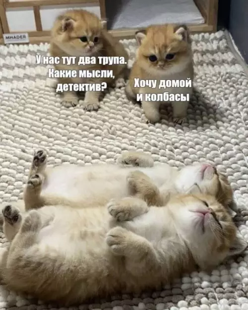 Смешная картинка №653057