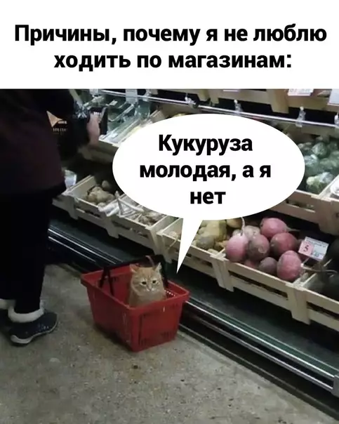 Смешная картинка №587625 А вот сейчас обидно очень стало...