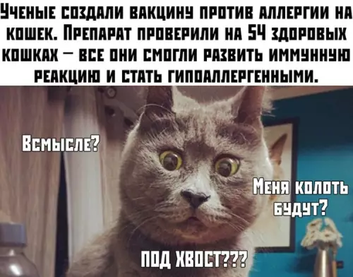 Смешная картинка №378346