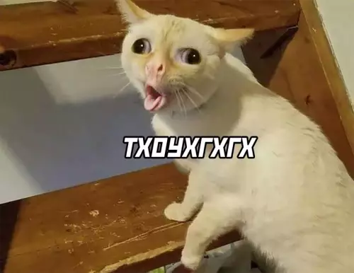 продолжение Смешная картинка №625145 Когда пытаешься выучить английский