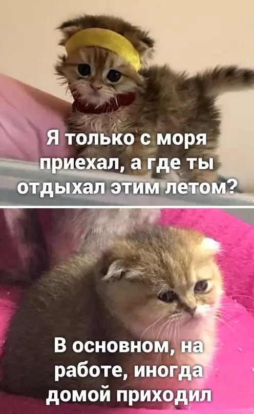 Смешная картинка №655349
