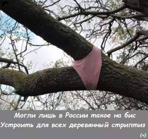 Смешная картинка №253066