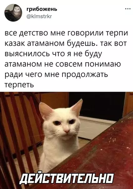 Смешная картинка №626432