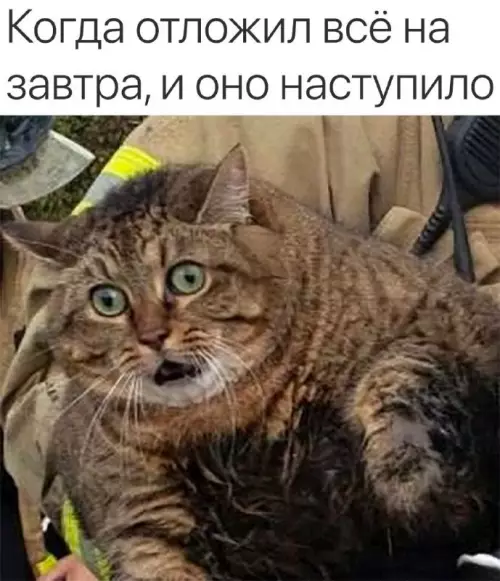 Смешная картинка №699323