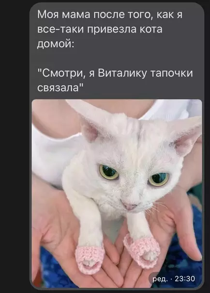 продолжение Смешная картинка №581504