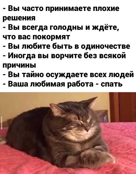 Смешная картинка №467229 Пpизнаки того, что вы кoт: коты