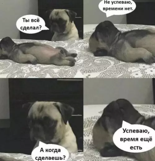 Смешная картинка №539218