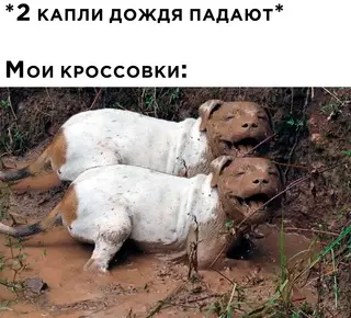 Смешная картинка №697376