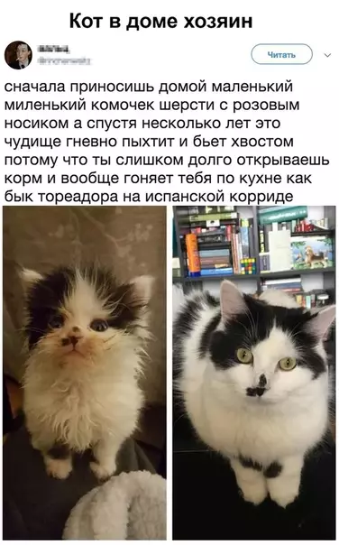 Смешная картинка №479779 Сразу понятно, кто тут главный:)