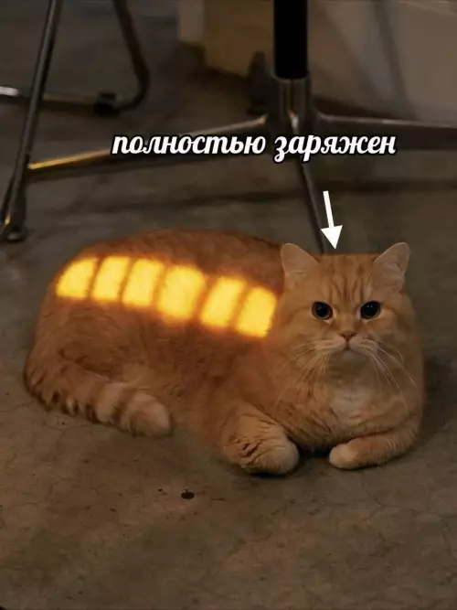 Смешная картинка №786465
