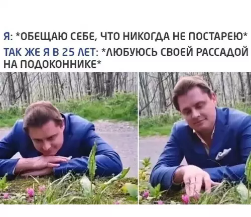 Смешная картинка №774398